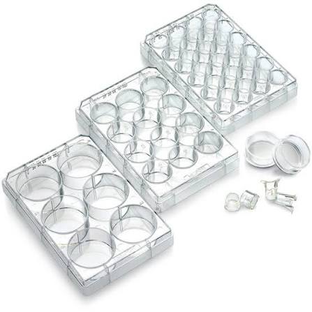 Cell Culture Wares