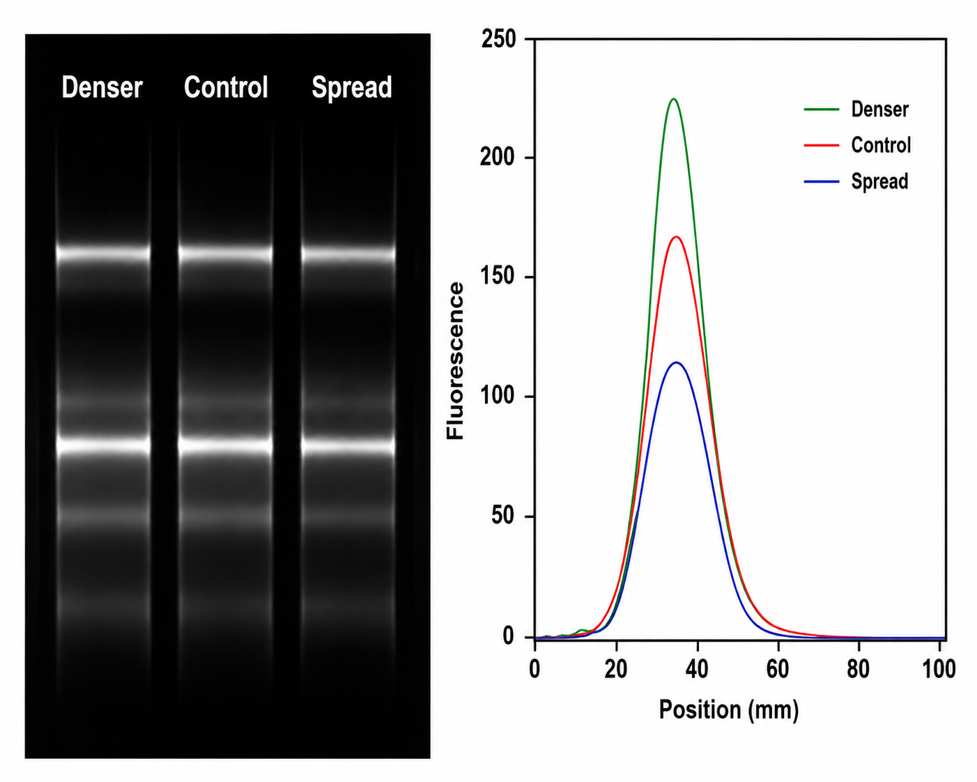Demo RNA quality check image
